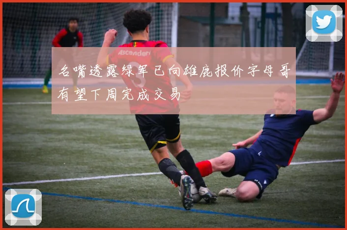 名嘴透露绿军已向雄鹿报价字母哥有望下周完成交易